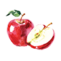 Apple Illustration