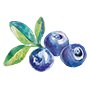 blue berry