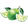 lime Illustration