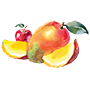 mango Illustration