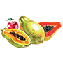 papaya Illustration