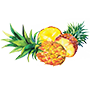 Pineapple Illustration