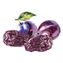 Prune Illustration